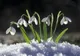 Vremea 10 februarie - Temperaturi de primăvară care ajung chiar și până la 15 grade
