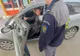 Cetăţean urmărit internaţional, depistat la Rădăuţi Prut 