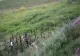 42 de ani de la CEL MAI GRAV accident din România - 48 de persoane au murit - Cum a ascuns Ceaușescu cea mai gravă tragedie rutieră