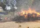 Peste 60 de misiuni în acest sfârșit de săptămână, pentru pompierii botoșăneni