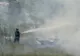 O stână a fost la un pas să ia foc din cauza unui incendiu de vegetație