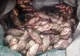 90 de kilograme de pește confiscate de polițiști