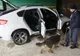 Autoturism furat, în valoare de peste 70.000 de lei, descoperit la Botoşani