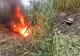 Alertă în nord-estul României. O dronă s-a prăbușit într-un lan de porumb din Suceava și a provocat un incendiu