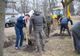 Acțiune de plantare a copacilor în comuna Manoleasa