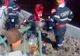 Un bărbat și-a prins piciorul într-o motosapa