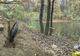 Bani alocați pentru reabilitarea drumului spre lacul cu nuferi