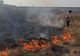 Incendiu pe strada PECO din municipiul Botoșani. Focul a ajuns în apropierea caselor