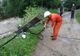 Șase localităţi din județul Botoșani au rămas fără energie electrică