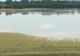 Inundațiile au compromis culturile pe sute de hectare VIDEO