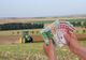 Peste 37 milioane euro din PNDR 2020 prin AFIR de la sfârșitul lunii iulie pentru grupurile de producători și asigurarea producției agricole