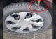 VIDEO – Ce pun braconierii din Botoșani pe drum ca să îi încetinească pe jandarmii care îi urmăresc – Imagini revoltătoare