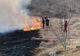 Mai multe case în pericol să ia foc din cauza unui incendiu de vegetație - VIDEO