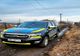 Percheziții la braconieri! Ce au găsit polițiștii