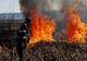 Peste 60 hectare de vegetație distruse duminică, în incendii