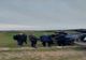 Depistaţi din elicopter când au trecut ilegal frontiera   