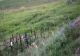 42 de ani de la CEL MAI GRAV accident din România - 48 de persoane au murit - Cum a ascuns Ceaușescu cea mai gravă tragedie rutieră