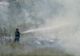 O stână a fost la un pas să ia foc din cauza unui incendiu de vegetație