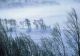 Vremea 15 decembrie - Intensificări puternice de vânt cu viteze de peste 100km/h