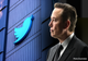 După ce a făcut ”curat” printre angajați, Elon Musk va șterge conturi de pe Twitter