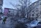 Copac căzut peste mașini în Botoșani