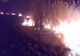 Incendiu de vegetație pe un câmp de lângă Vlăsinești! Intervenția pompierilor a fost îngreunată de vânt