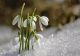 Vremea 31 ianuarie. Cod galben de fenomene periculoase. Zonele unde temperaturile cresc brusc