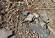 Noi resturi de drone rusești descoperite în România