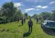 Miracol în Botoșani: o femeie de 94 de ani a supraviețuit trei zile în pădure. Rolul incredibil al câinilor